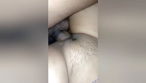 Free Chubby Porn Videos - mybanglatv.com